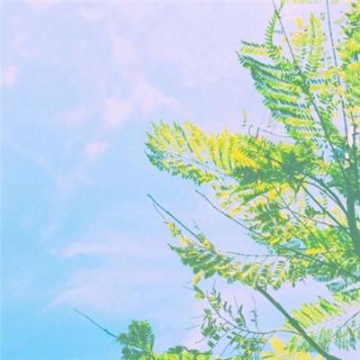 邪神的遗产无限金币下载